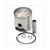 PISTON MINARELLI HORZ 47.0mm TP